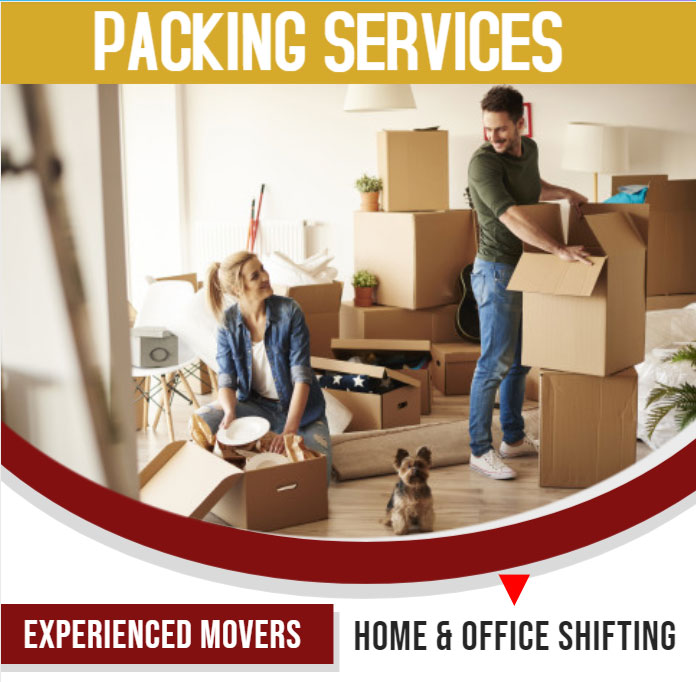 Ludhiana Packers Packing services